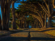 Point Reyes National Seashore