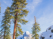 Yosemite National Park