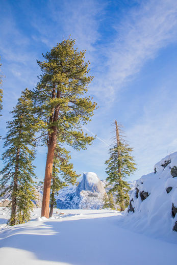 Yosemite National Park