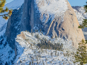 Yosemite National Park