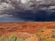 Petrified Forest National Park