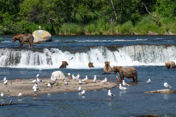Katmai National Park and Preserve