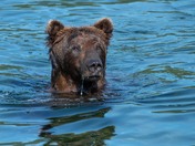 Katmai National Park and Preserve