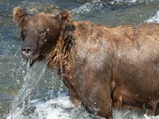 Katmai National Park and Preserve