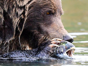 Snack Time