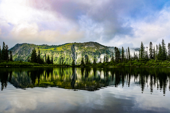 Mount Rainier National Park 