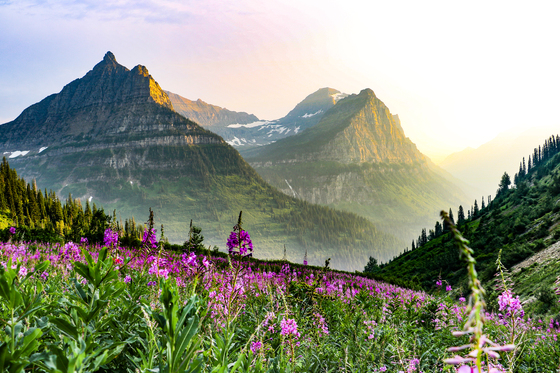 Glacier National Park