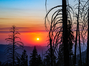 Kings Canyon National Park