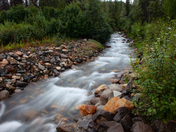 Denali National Park and Preserve 
