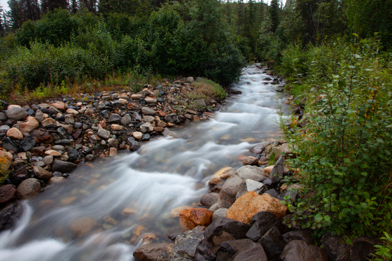 Denali National Park and Preserve 