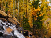 Arapahoe & Roosevelt National Forest