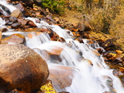 Arapahoe & Roosevelt National Forest
