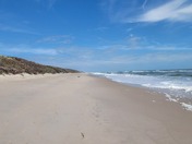 Canaveral National Seashore