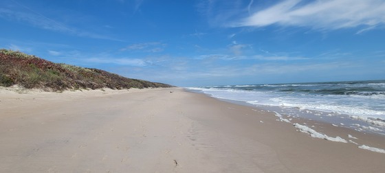 Canaveral National Seashore