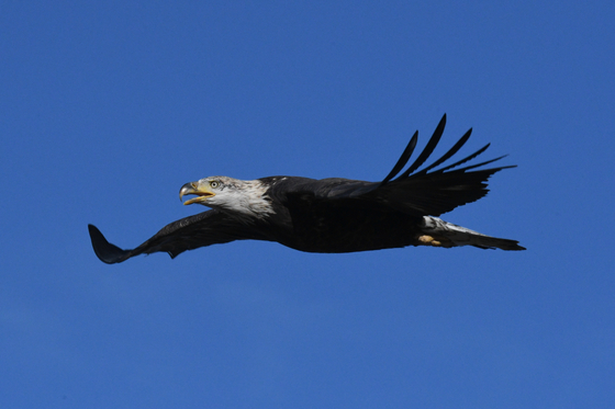 Rocky Mountain Arsenal National Wildlife Refuge
