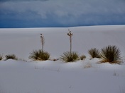 White Sands National Park