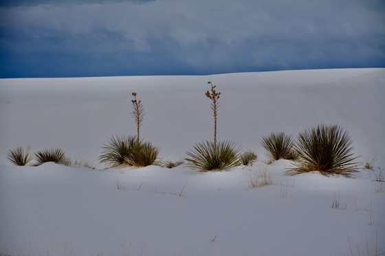 White Sands National Park