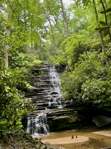 Anna Ruby Falls 