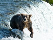 Katmai National Park and Preserve