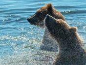 Katmai National Park and Preserve