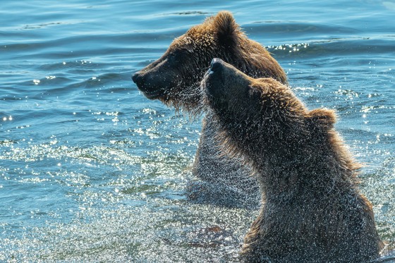 Katmai National Park and Preserve