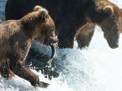 Katmai National Park and Preserve