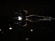 Grand Teton National Park