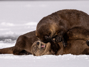 Grand Teton National Park