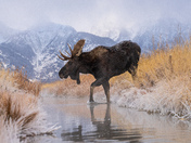 Grand Teton National Park
