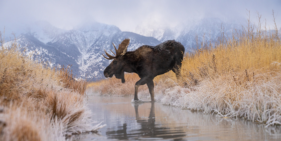 Grand Teton National Park