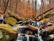 Ozark National Forest