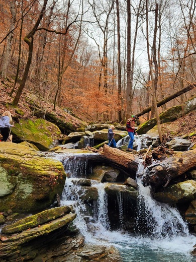 Ozark National Forest