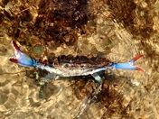 Cape Hatteras National Seashore