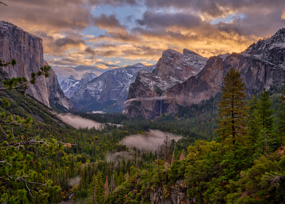 Yosemite National Park