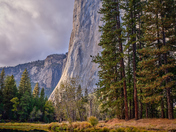 Yosemite National Park