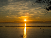 Sunset on Georgia Straight from UBC campus.