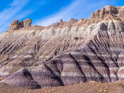 Petrified Forest National Park