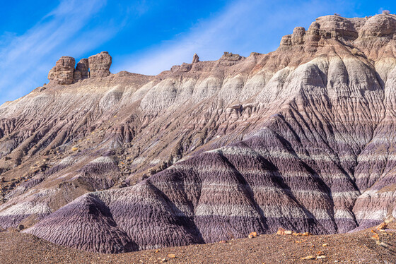 Petrified Forest National Park