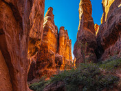 Arches National Park