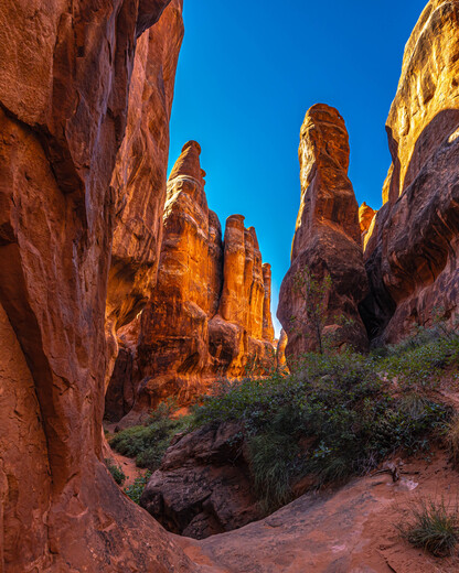 Arches National Park