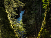 Little Qualicum Falls Provincial Park through the looking glass
