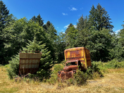 Olympic National Park, Kestner Homestead Trail