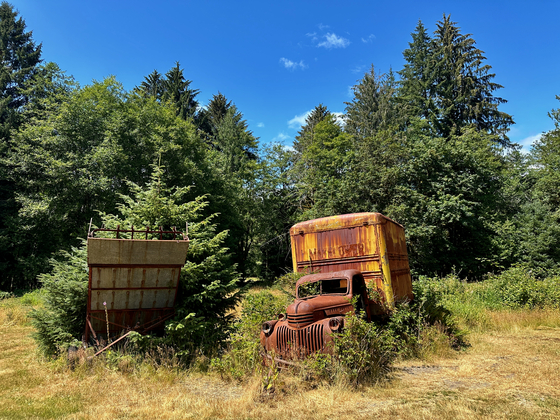 Olympic National Park, Kestner Homestead Trail