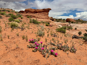 Grand Staircase Escalante National Monument
