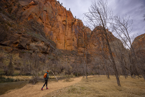 Zion National Park
