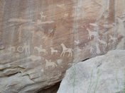 Capitol Reef National Park