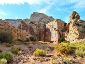 Capitol Reef National Park