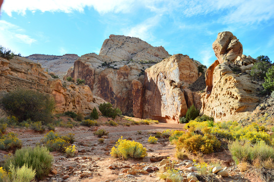 Capitol Reef National Park