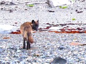 Glacier Bay National Park