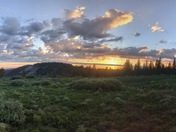 Yosemite National Park 